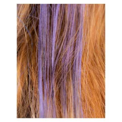 Mascara cheveux Kraft - Violet 