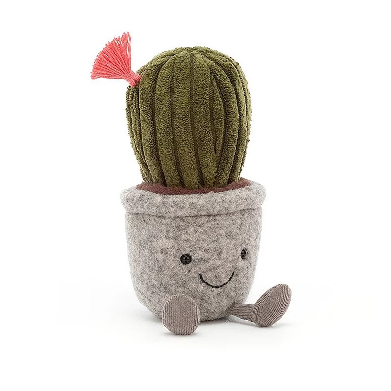 Silly Succulent Barrel Cactus 