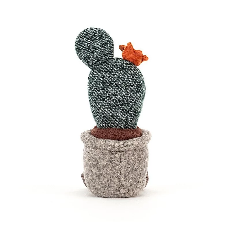 Succulent cactus figuier de barbarie 