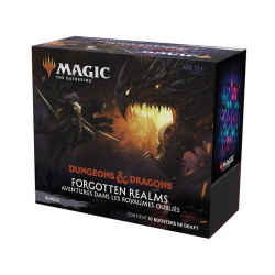 Magic : Bundle D&D Forgotten Realms 