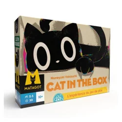 Cat in the box