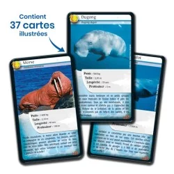 Défis Nature : Animaux marins