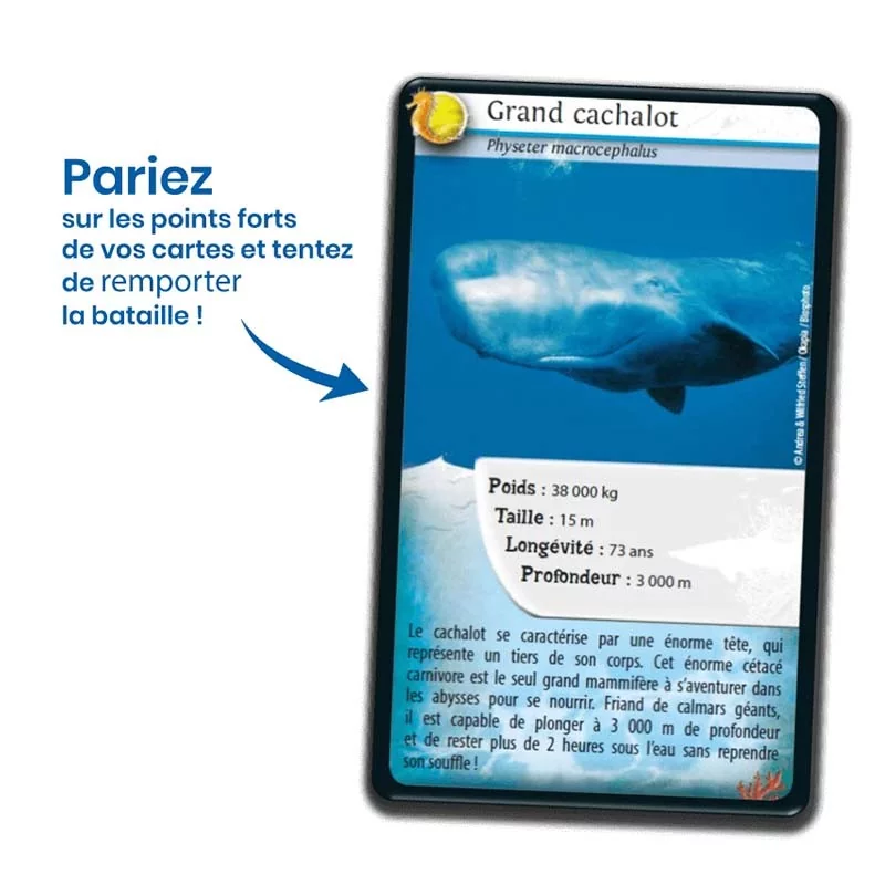 Défis Nature : Animaux marins