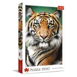 Portrait du Tigre (Puzzle 1500 p.)