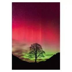 Power of Nature : Sycamore Gap - 1000p