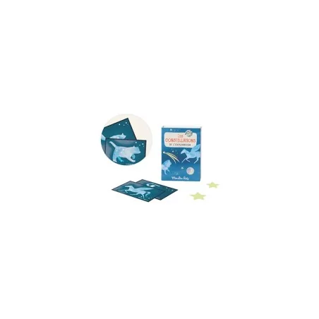 Les Constellations de l'Explorareur Les Constellations de l'Explorareur
