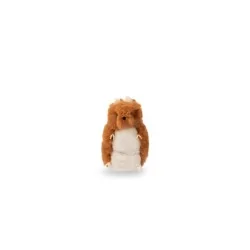 Hamster dent de lait - Puce & Pilou