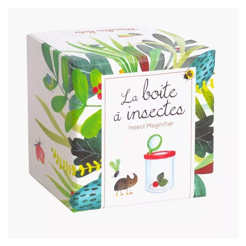 Boîte à insectes Boîte à insectes
