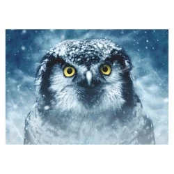 Puzzle Animals : Owl - 1000 p.