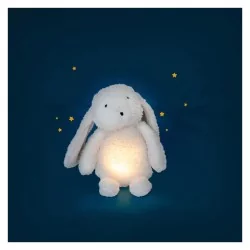 Veilleuse Lapin lumineux - Puce & Pilou