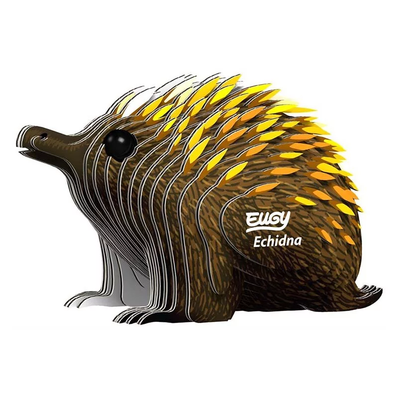 Eugy 3D Modèle - Echydné