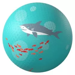 Ballon Sous l'eau 