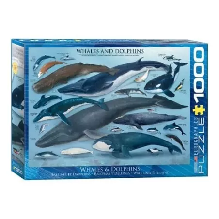 Baleines et Dauphins 